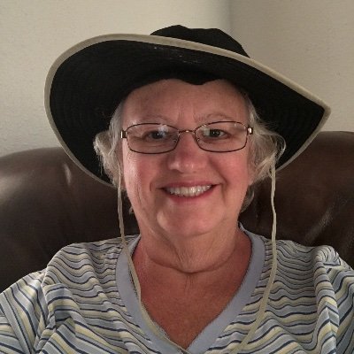 Profile Picture of Lisa Buse (@LisaBuse2) on Twitter