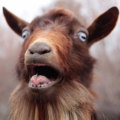 Profile Picture of James Popiel (@blasphemustoast) on Twitter