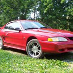 Profile Picture of Darren Toland (@little_bro84) on Instagram