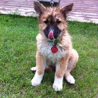 Profile Picture of Gretchen Phillips (@GretchenPhilli8) on Twitter