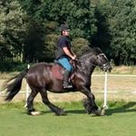 Profile Picture of Julia Dickinson (@julia.dickinson.125) on Instagram