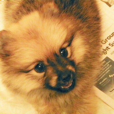 Profile Picture of John L Castaldi (@jlc0) on Twitter