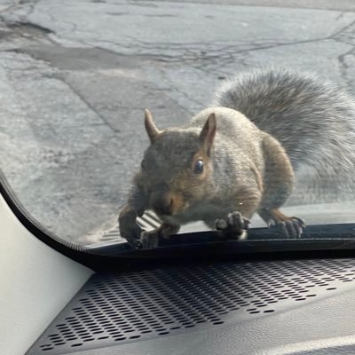 Profile Picture of Mike Bedrosian (@mikebedrosian) on Twitter