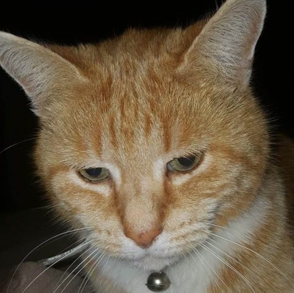 Profile Picture of Coral Craigie (@coralcraigie) on Poshmark