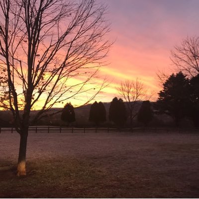 Profile Picture of Jay Guida (@JGuida93) on Twitter