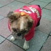 Profile Picture of 葉琴 Jean (@@jeanyeh) on Tiktok