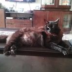 Profile Picture of Anatoly Spector (@anatoly.spector.9) on Facebook