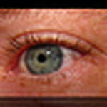 Profile Picture of Steve Gilchrist (@steve gilchrist) on Flickr