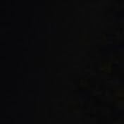 Profile Picture of Omar Boyd (@omarboyd8816) on Youtube