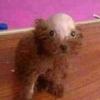 Profile Picture of Ethan Forrest (@@ethanforrest1) on Tiktok