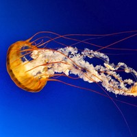 Profile Picture of Andrew Paley (@andrew-paley-3) on Quora