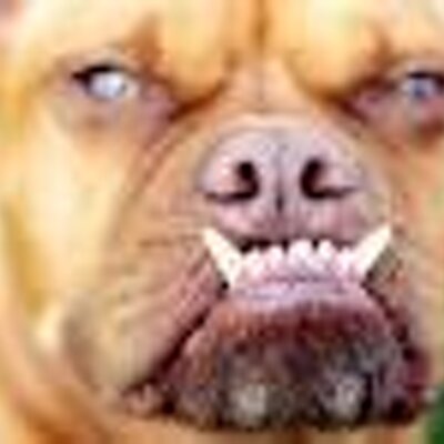 Profile Picture of Winder (@winder_g) on Twitter