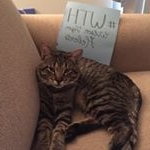 Profile Picture of Wilson Tiger Hebert (@wilsontigerhebert) on Instagram