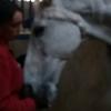 Profile Picture of deargre (@@silviasinclair) on Tiktok