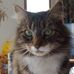 Profile Picture of Dawn Orcutt (@Dawn-Orcutt) on Facebook