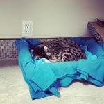 Profile Picture of Michael Skelton (@michael_skelton06) on Instagram