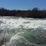 Profile Picture of Fred Chandler (@fred.chandler) on Instagram