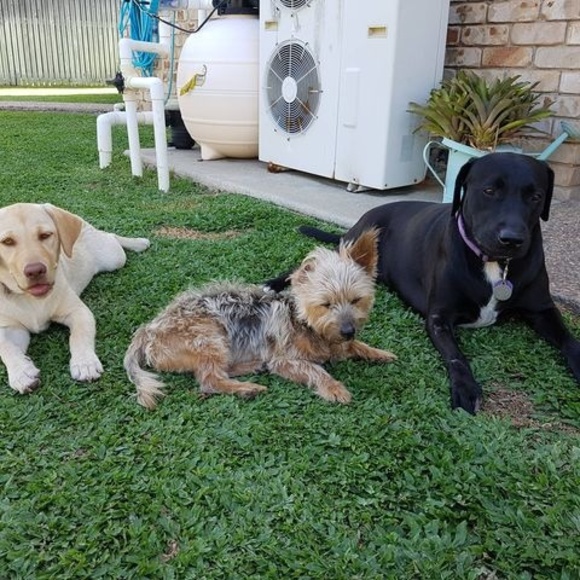 Profile Picture of Helen Naglic (@sv_hm) on Poshmark