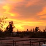 Profile Picture of Jim Bilbao (@james.bilbao) on Instagram