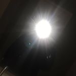 Profile Picture of Alissa Carter (@x.ac.x.x) on Instagram