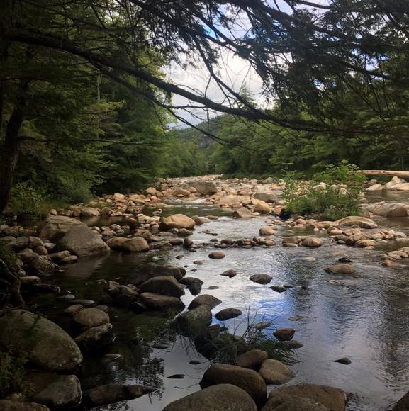 Profile Picture of Laura Finnemore (@lfinne8674) on Poshmark