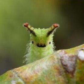 Profile Picture of Michelle Grizzle (@MichelleGrizzl1) on Twitter