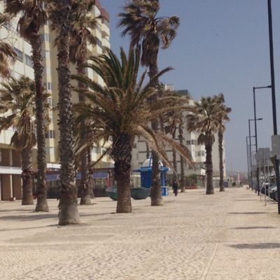 Profile Picture of Lucasdasilva (@lucasdasilva110909) on Tiktok