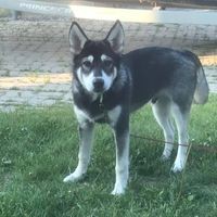 Profile Picture of Larry Boudreau (@larry-boudreau-2) on Quora