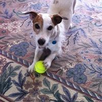 Profile Picture of Nancy Benfer (@n2ndsister) on Pinterest