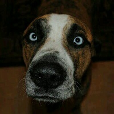 Profile Picture of Chris Handly (@HandlyChris) on Twitter