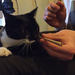 Profile Picture of Joshua Sly (@joshua_sly17) on Instagram