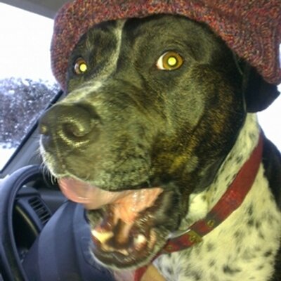 Profile Picture of Gary Morgan (@moggy67) on Twitter