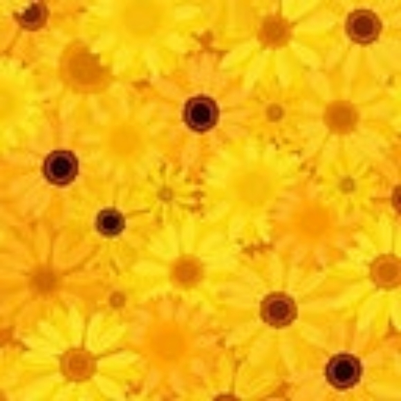 Profile Picture of Kelly Austen (@kellyausten) on Poshmark