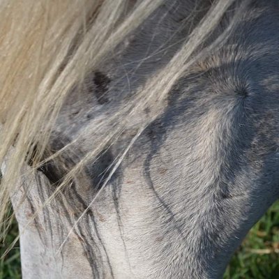 Profile Picture of David Patrice (@DavidPa06922070) on Twitter