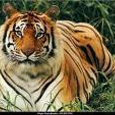 Profile Picture of Jaime  Vega  Zea (@JaimeVegaZea) on Twitter