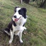 Profile Picture of Heather Dobson (@dobson.heather) on Instagram