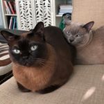 Profile Picture of Kim Wakefield (@kimw4444) on Instagram