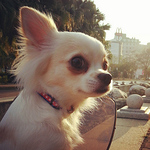 Profile Picture of Yi Chien (@lin a ma re) on Flickr