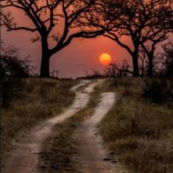 Profile Picture of Renee Martin chuchvara (@rchooch63) on Poshmark