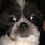 Profile Picture of Jimmy_Knuckles.06 (@jimmy_knuckles.06) on Instagram