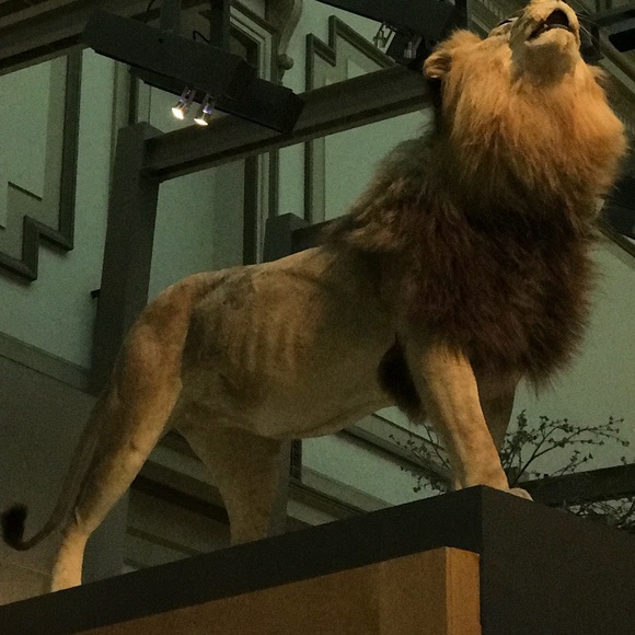 Profile Picture of Paul Moore (@paulwall8430) on Poshmark