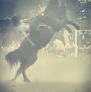 Profile Picture of Bryan Benegas (@brianmartin.benegas.5) on Facebook