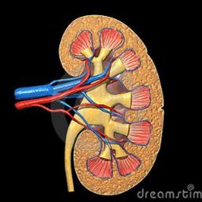 Profile Picture of Alessandro D'Amelio (@alex060762) on Twitter