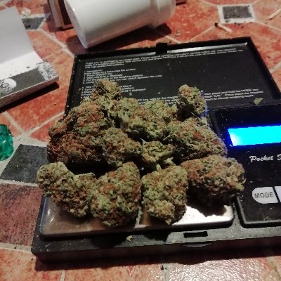 Profile Picture of Max Stark (@MaxStar31794569) on Twitter