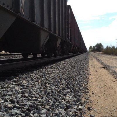 Profile Picture of Adam Block (@whyholler) on Twitter