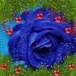 Profile Picture of Lise Gauthier (@lise.gauthier.121) on Instagram