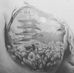 Profile Picture of Andrew John Grunewald (@andrew.j.grunewald) on Facebook