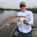 Profile Picture of David Shealy (@david.shealy) on Instagram