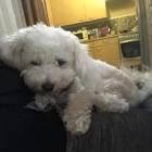 Profile Picture of   Jasmin Vajda (@jasminvajda)... (@jasminvajda) on Tiktok
