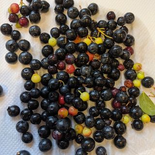 Profile Picture of Richard Vowles (@richard_nz_food) on Instagram